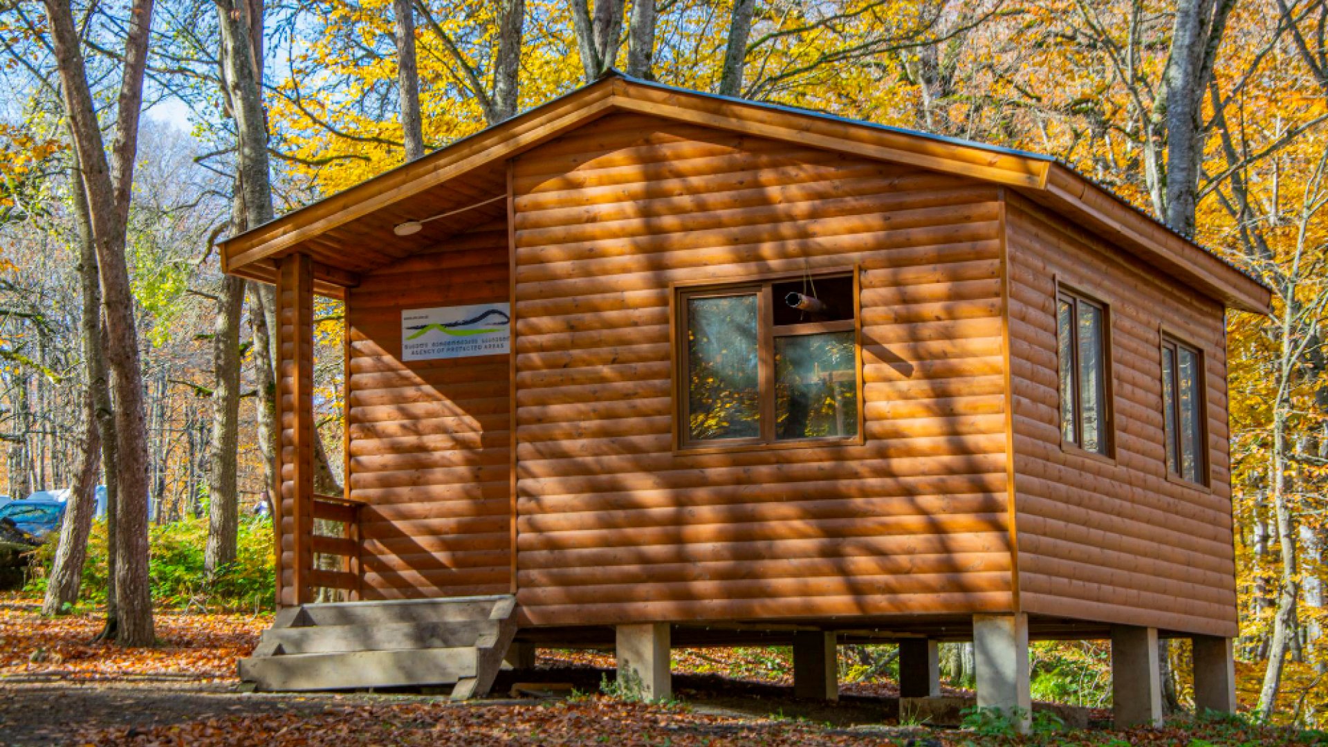 Casas de madera vs casas prefabricadas de madera: diferencias reales, ventajas y límites